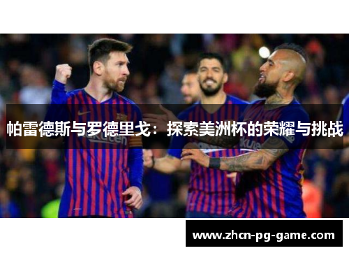帕雷德斯与罗德里戈：探索美洲杯的荣耀与挑战