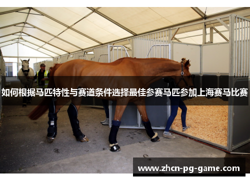 如何根据马匹特性与赛道条件选择最佳参赛马匹参加上海赛马比赛