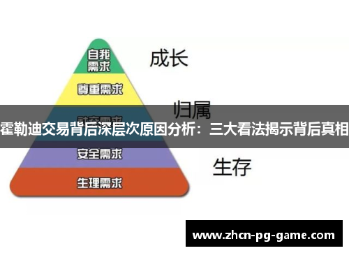 霍勒迪交易背后深层次原因分析：三大看法揭示背后真相
